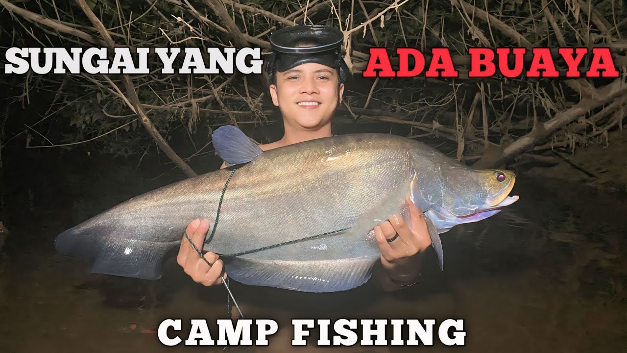 Campingg fishing 2 hari hujan deras di sungai yang ada buaya Camp adventure