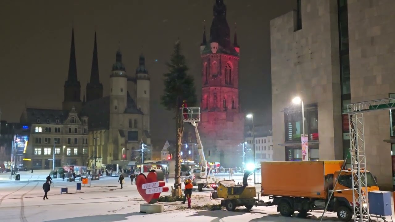 Fällung Weihnachtsbaum auf dem Marktplatz in Halle (Saale)