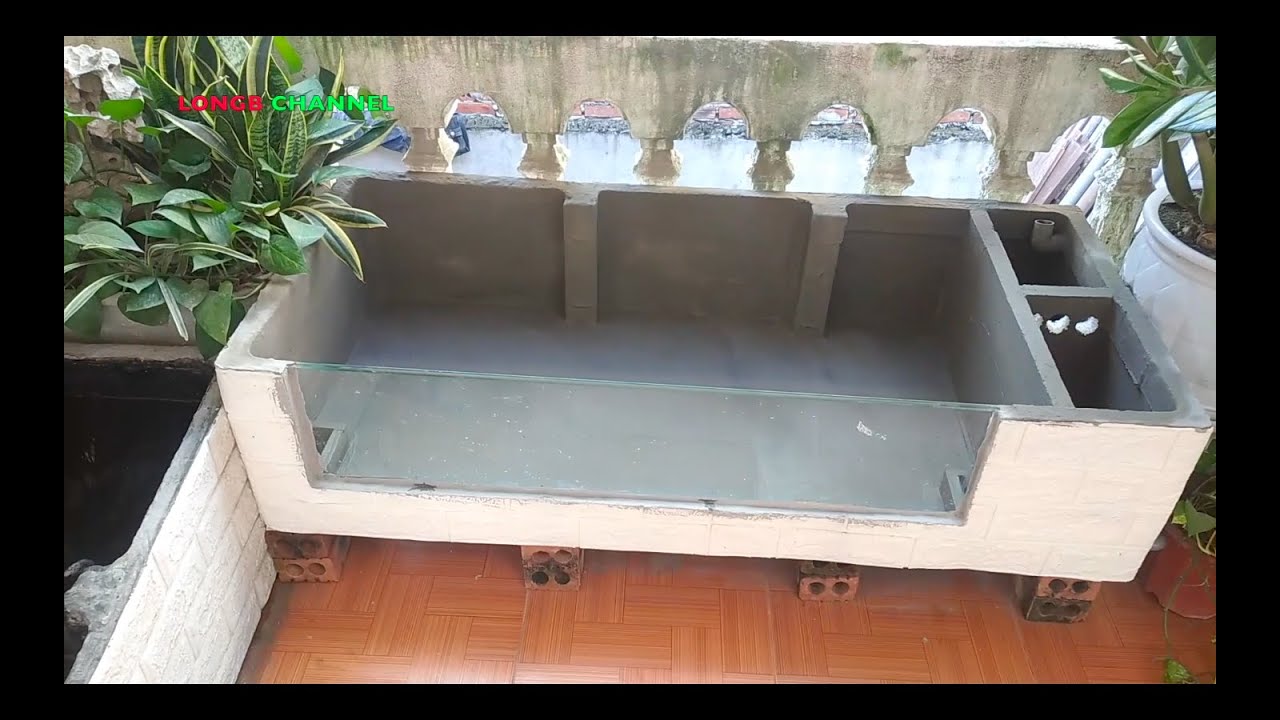 Làm hồ thuỷ sinh ngoài trời bằng thùng xốp | Make an outdoor aquarium with foam boxes