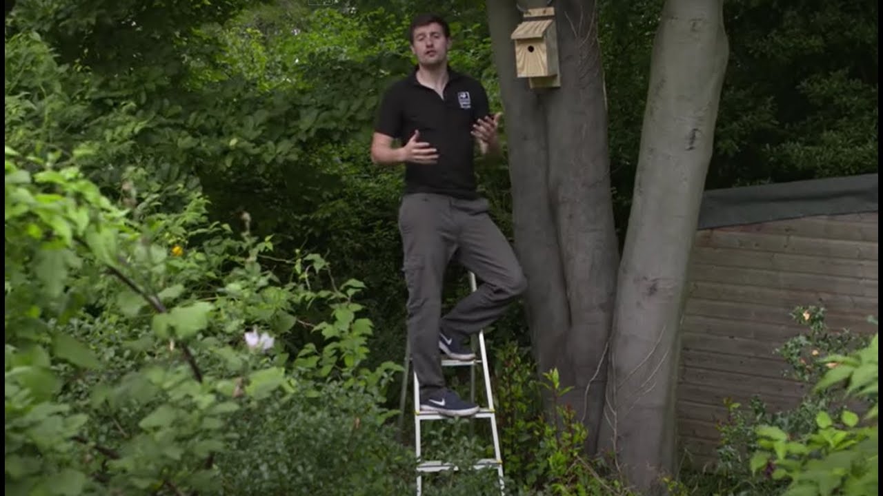 How to put up a nest box