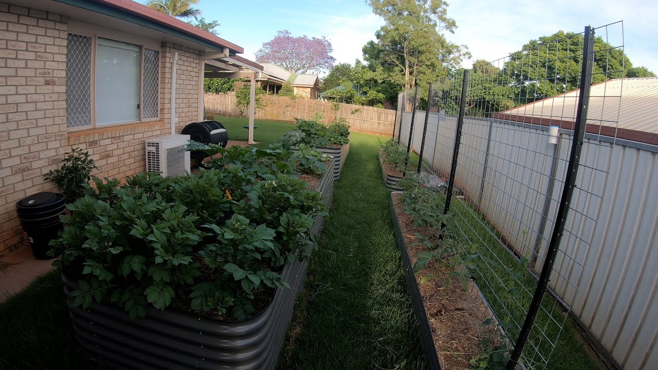 New Birdies Raised Garden Beds