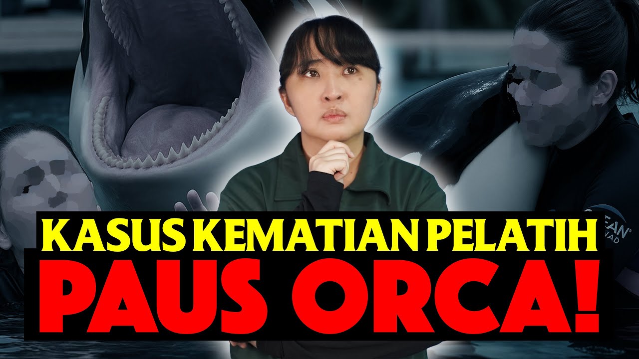 FAKTA MENINGGALNYA PELATIH PAUS ORCA❗️