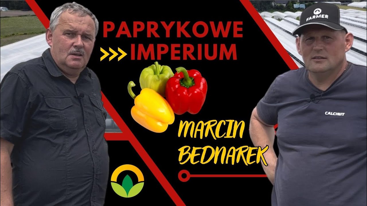 Uprawa Papryki | Paprykowe Imperium | Marcin Bednarek | Potworów