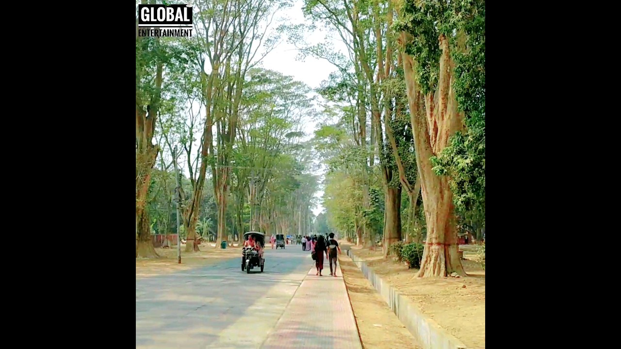 Paris Road Rajshahi University #shorts #paris #road #rajshahiuniversity