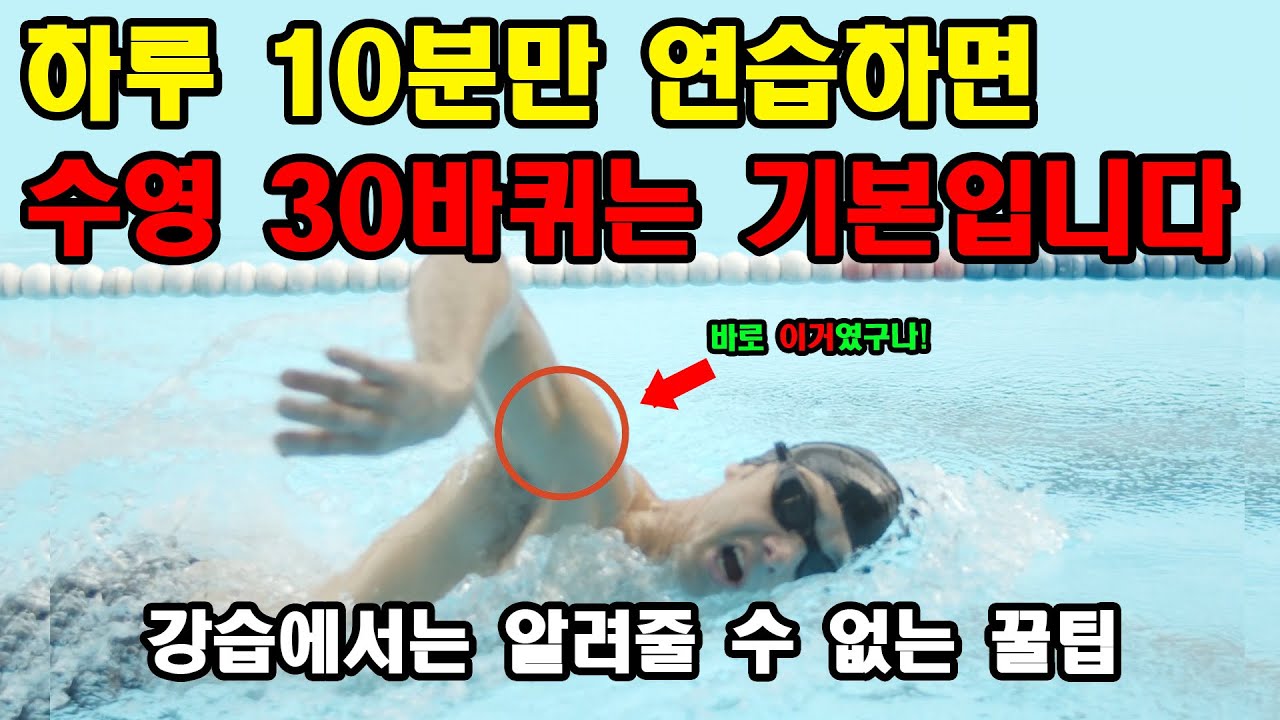 이거만 보면 지치지 않고 오래 수영 할 수 있습니다 장거리 자유형부터 턴까지 몰아보기