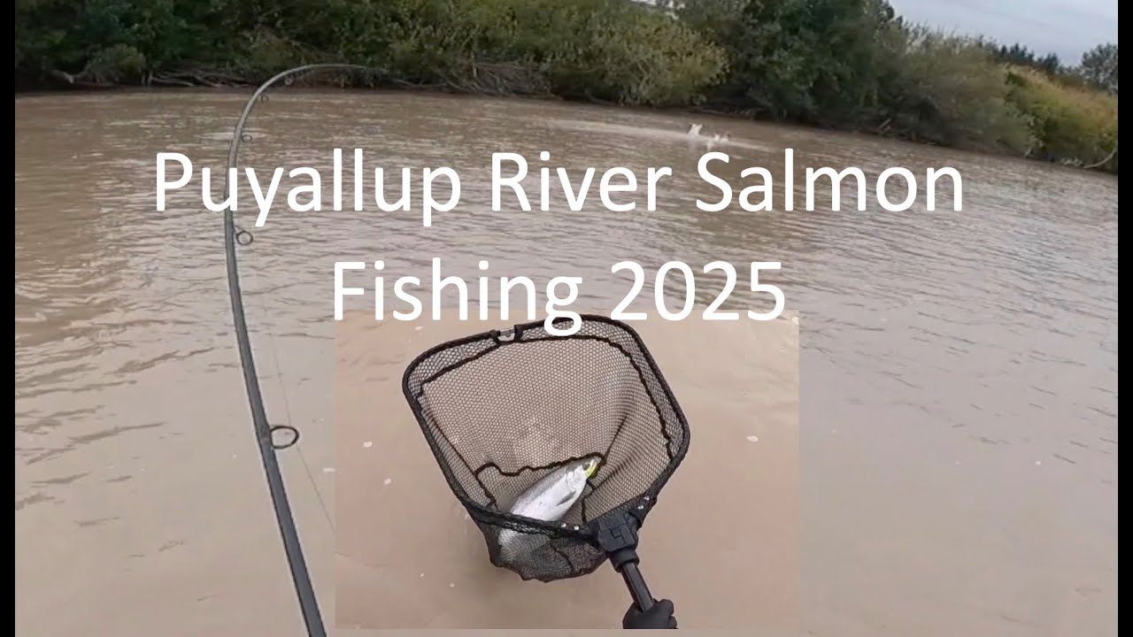 Puyallup River Salmon Fishing 2025 - SIMPLE Setup