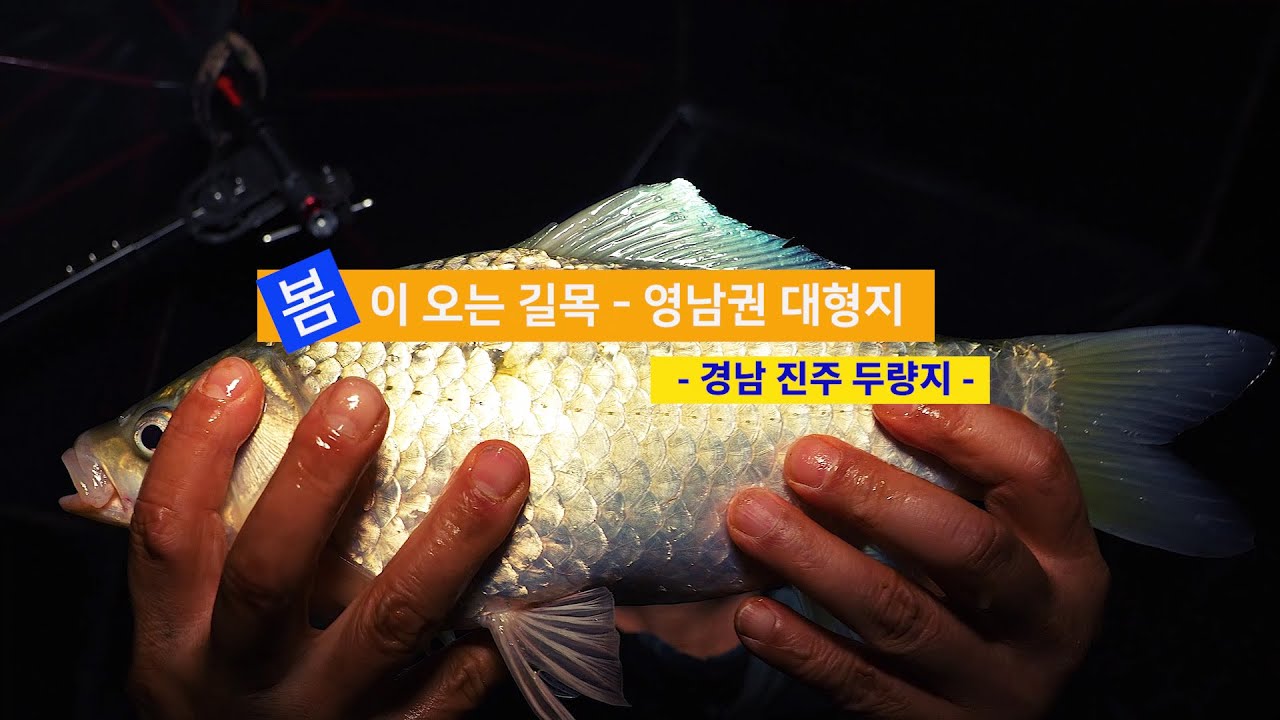 [자연지] 153.봄이 오는 길목 - 경남 진주 두량지(2025.3.13)