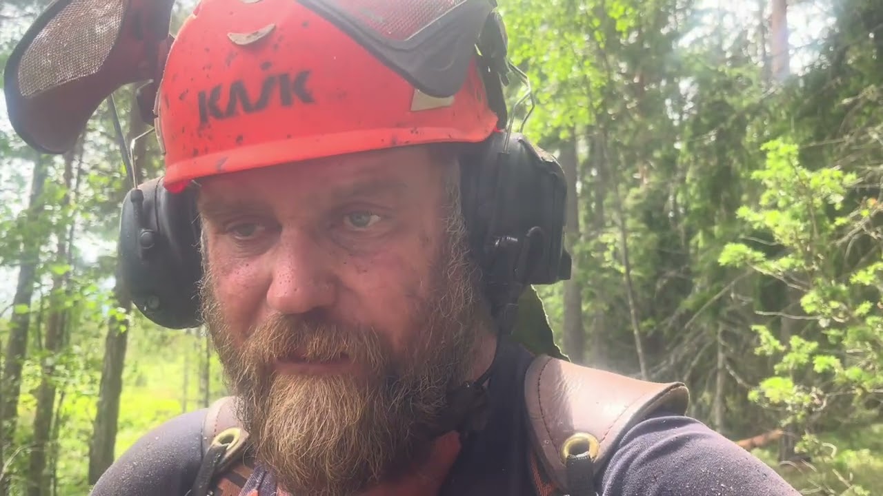 Visar lite olika fällningar av träd. Säkra hörnet mm Något aggressiv kedja dock