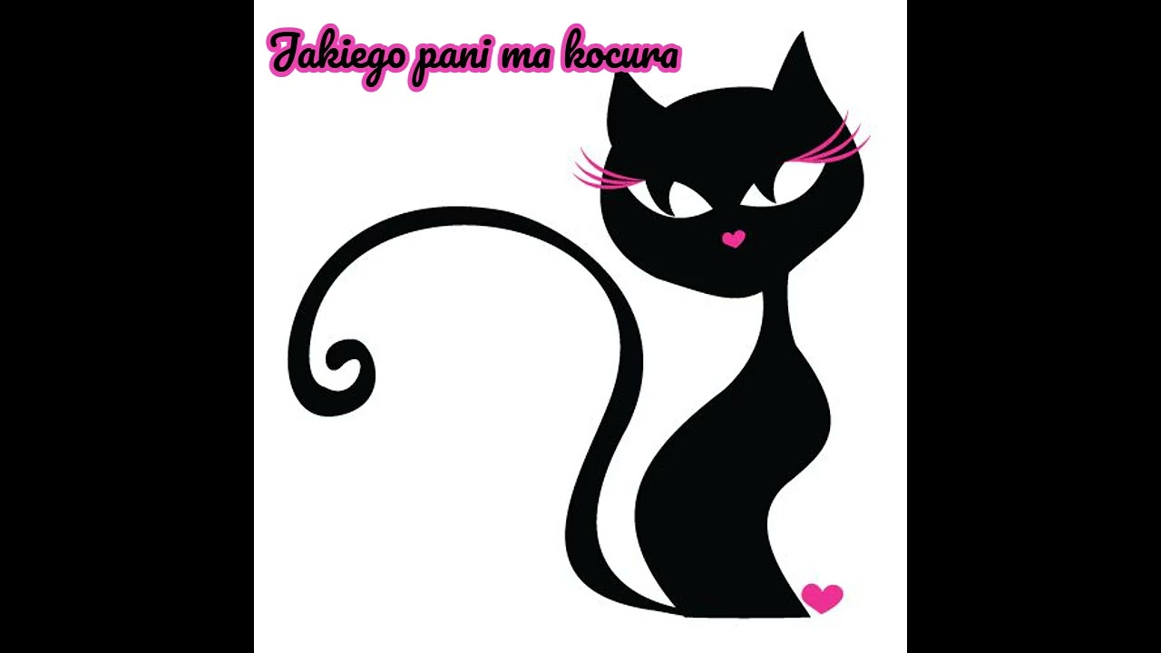 Jakiego pani ma kocura