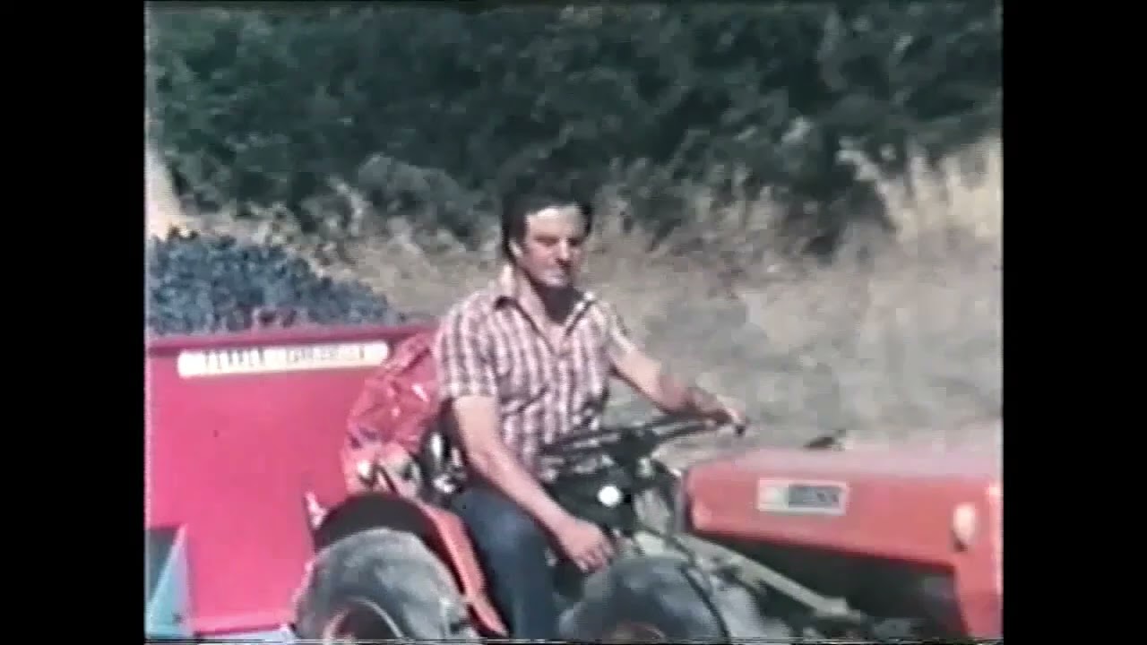 Verema a Espolla (setembre del 1981)