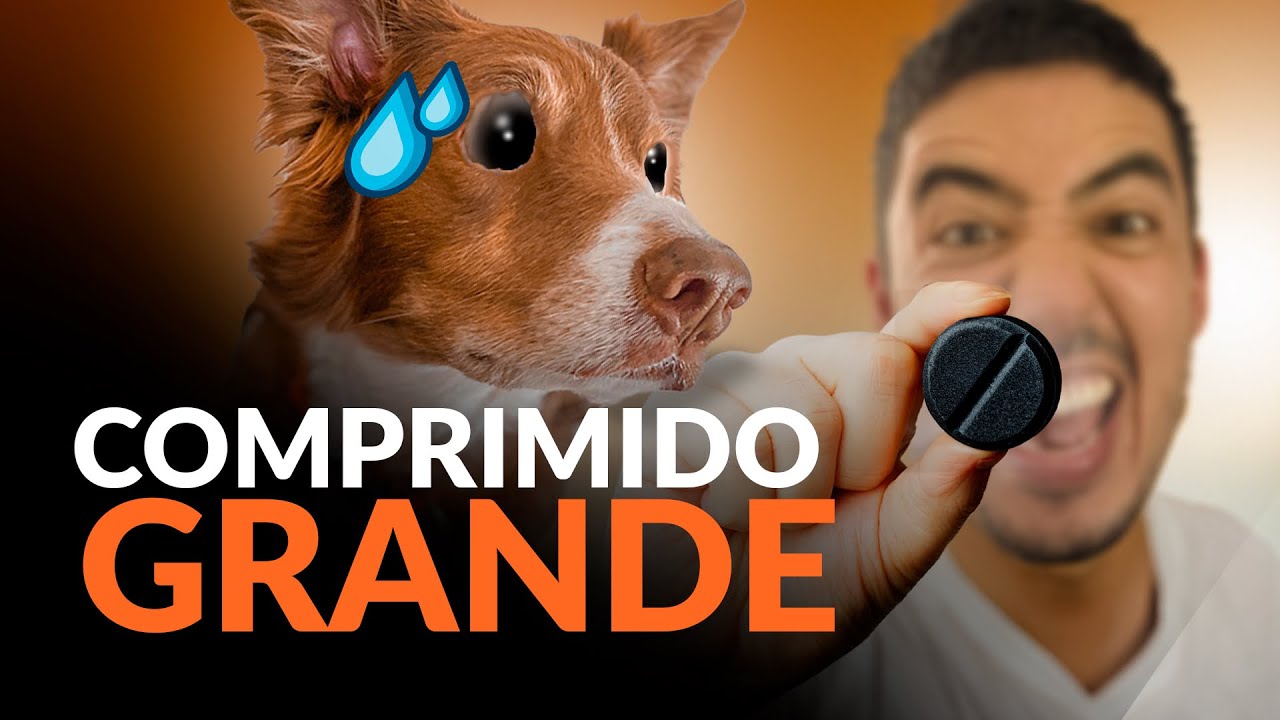 Como dar comprimido GRANDE para cachorro ? | Adestramento Online | Cão Guardião