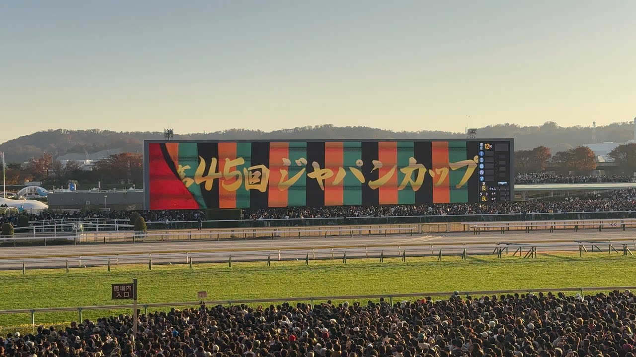 【ジャパンC 2025】カッコいい煽りVから生ファンファーレまで【現地撮影】