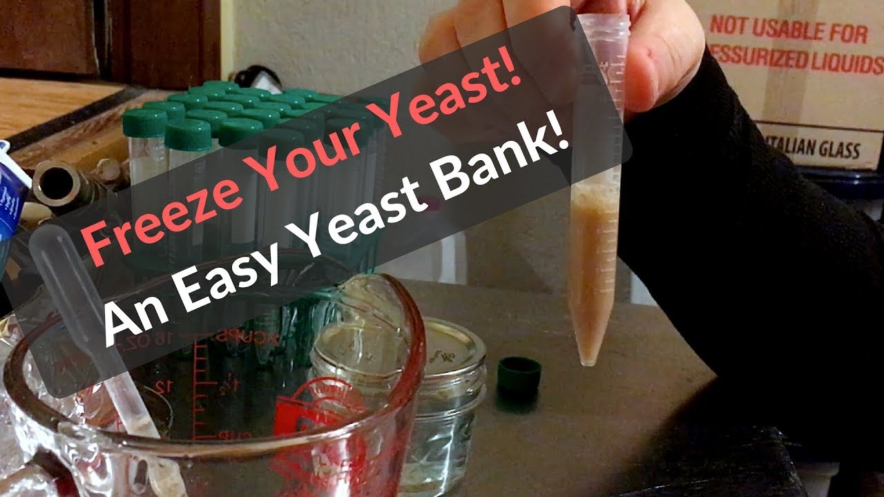 Freezing Yeast for a Yeast Bank with Glyercin