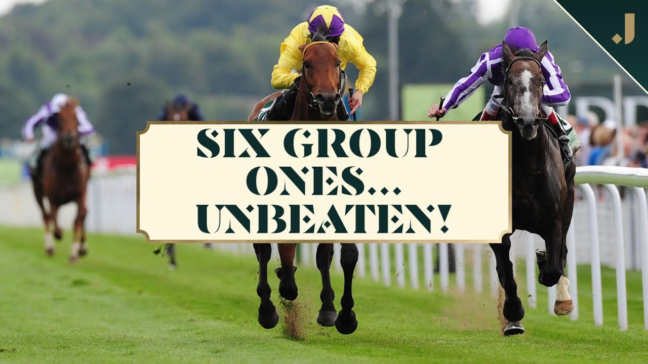 The PERFECT season - Sea The Stars wins SIX Group 1s in 2009!