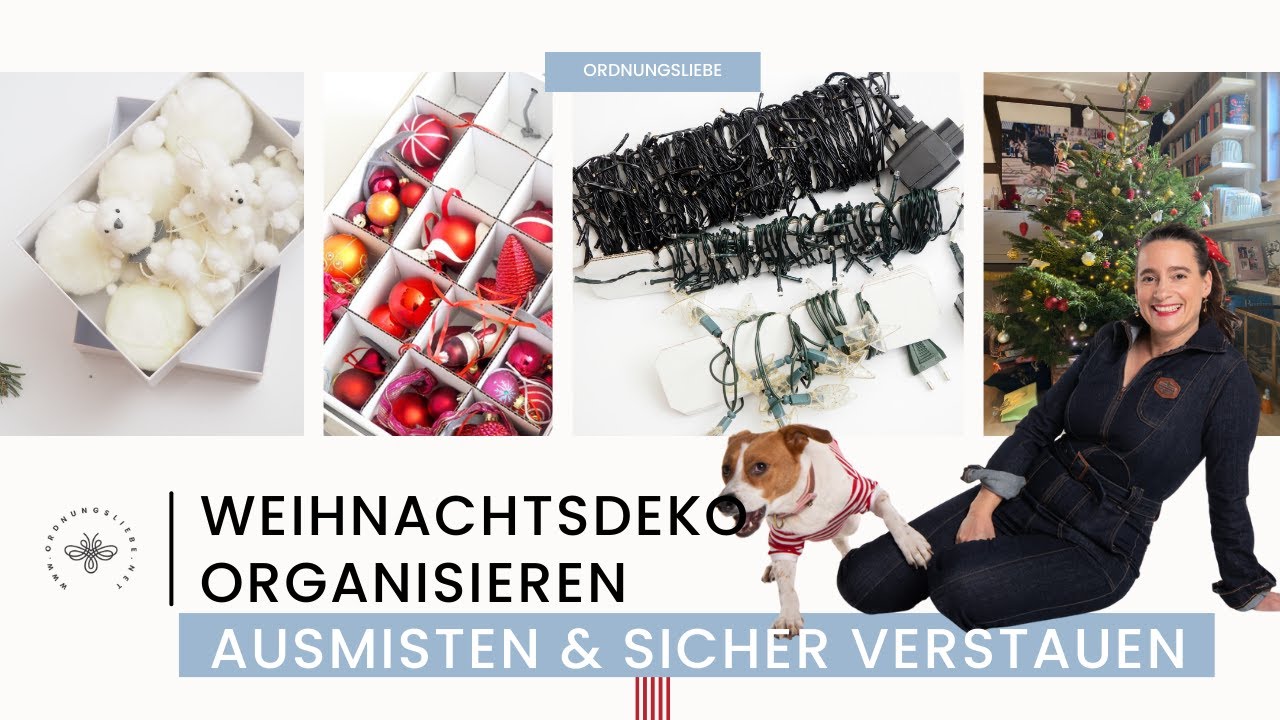 Weihnachtsdeko ausmisten: So geht´s! 💪| Der Hund 🐕 frisst den Esel