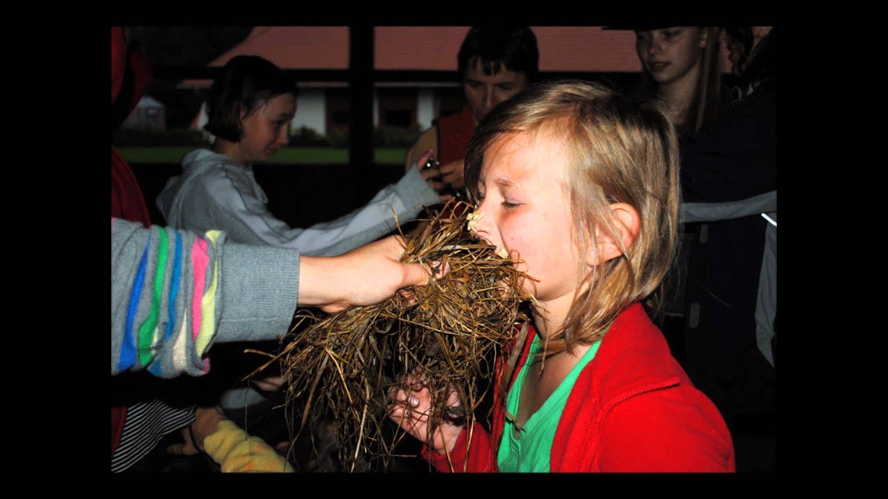 Lalin 2011, turnus III