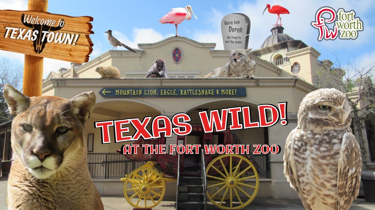Texas Wild! (2001) at the Fort Worth Zoo | Exhibit Tours Ep. 40