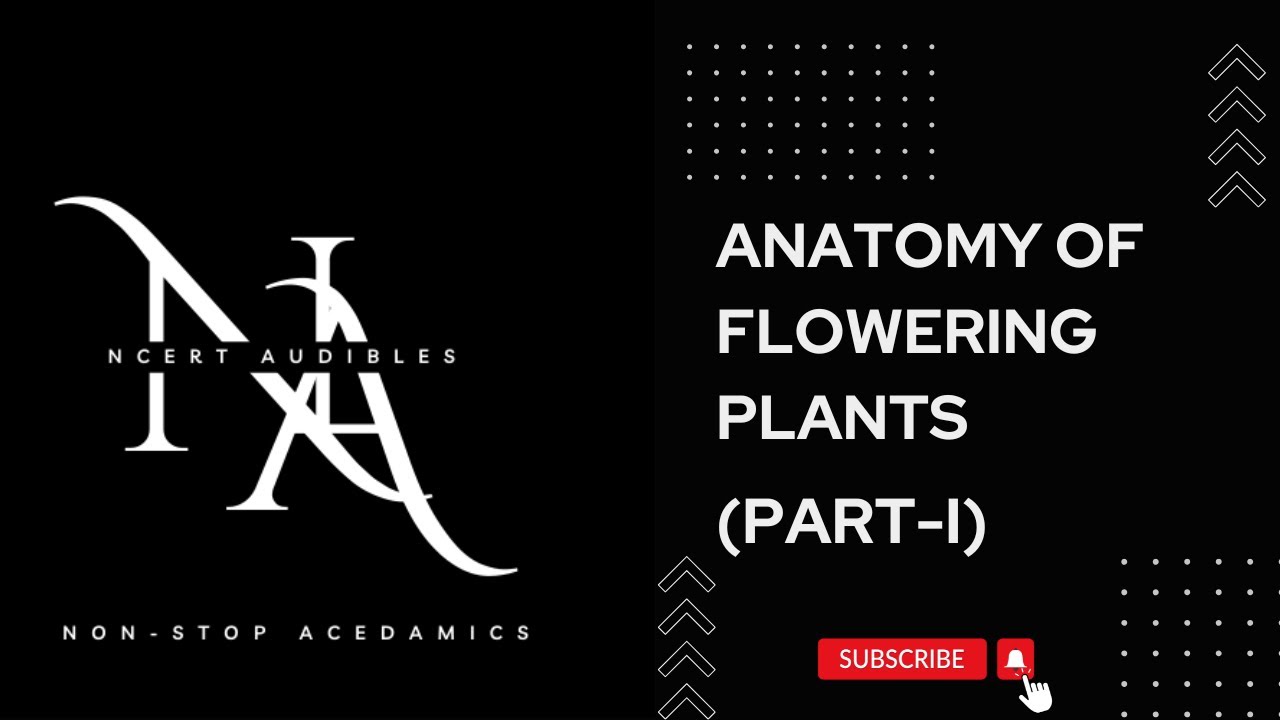 Anatomy Of Flowering Plants  Practice Set | NCERT AUDIBLES | NEET Preparation 