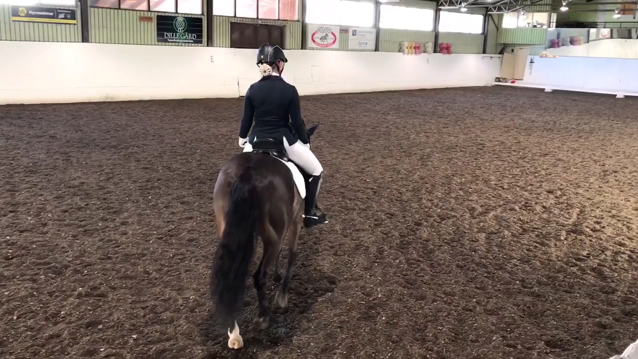Herkules och Ella seger p&aring; &Ouml;FRK