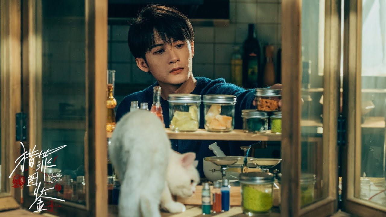 檀健次-《猎罪图鉴》花絮合集
