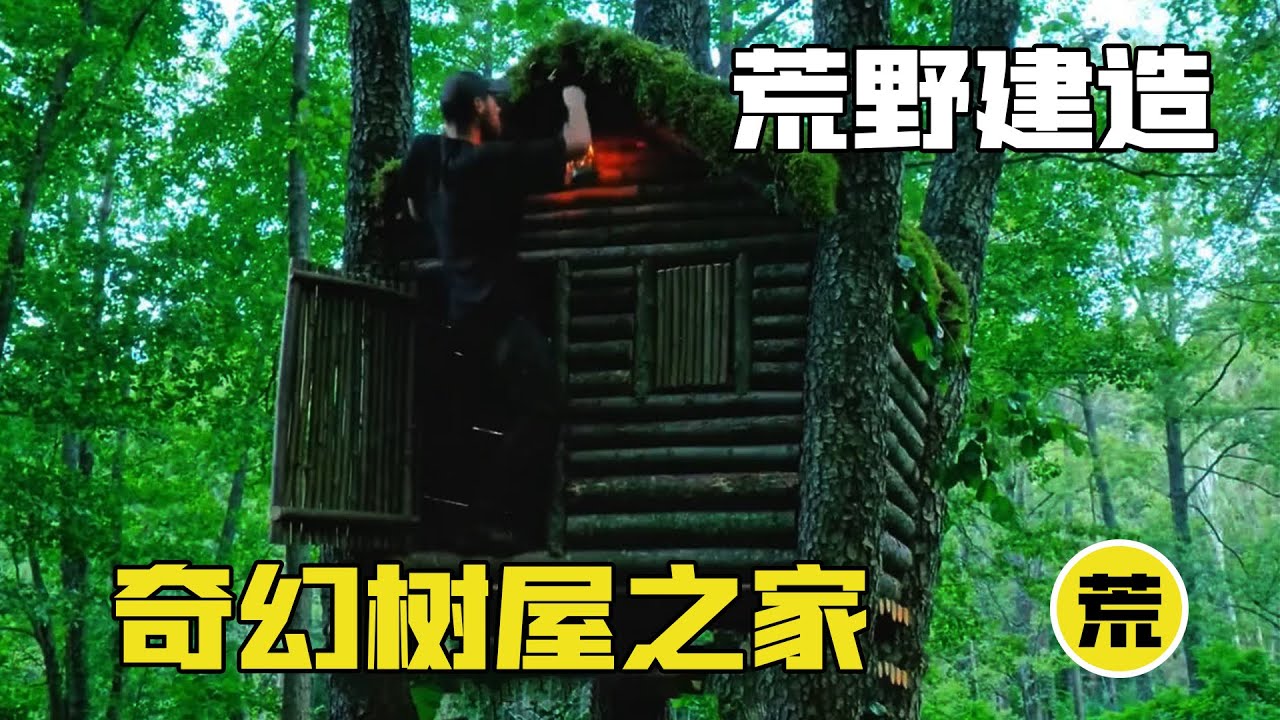 【荒野建造】大树改造的树屋之家，奇幻独特的设计，引得外网上百万网友羡慕！