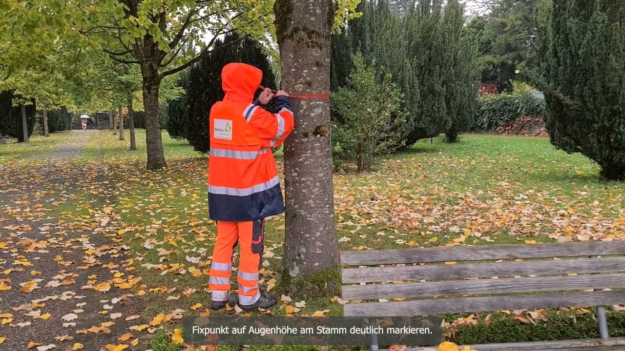 Wie misst man die Baumh&ouml;he mit einem Doppelmeter? So geht's!