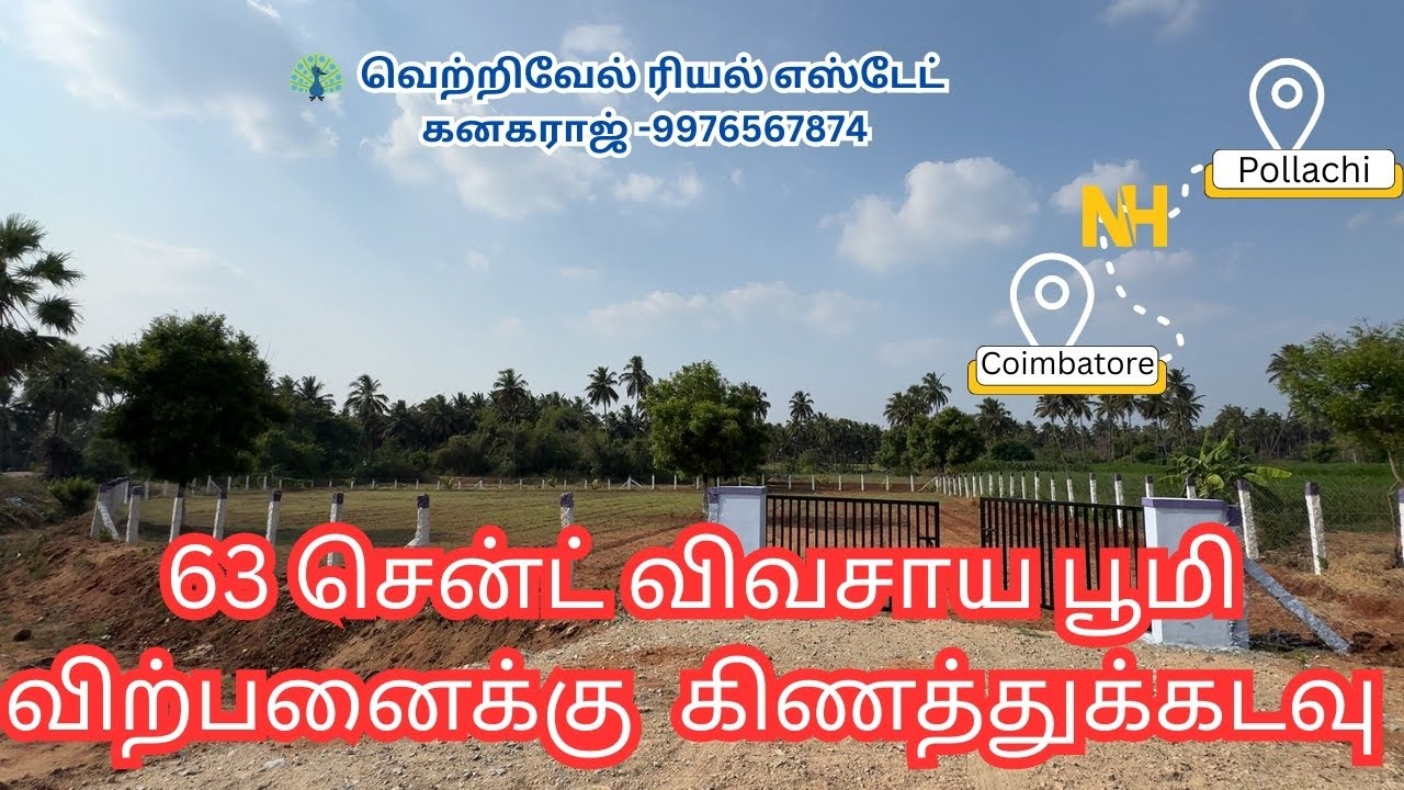 #209)63 cent   Farmland For sale in #kinathukadavu #pollachi #landforsale #trending