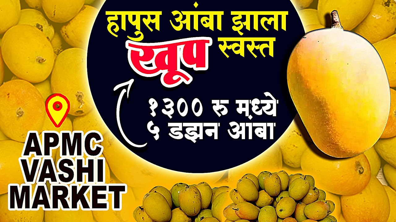हापुस आंबा झाला स्वस्त🥭vashi apmc fruit market 2025 | Apmc fruit market vashi | Apmc mango market