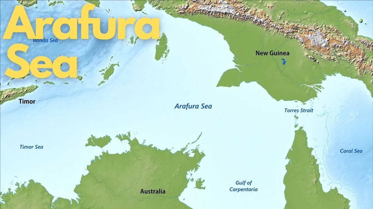 Exploring the Wonders of the Arafura Sea
