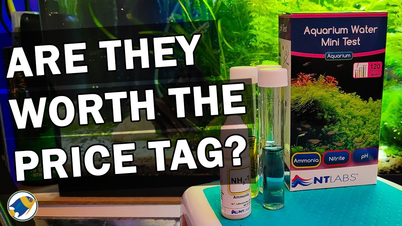NTLabs Aquarium Water Mini Test Kit Review | How to test your Aquarium Water - MR BRIGHTFRYED