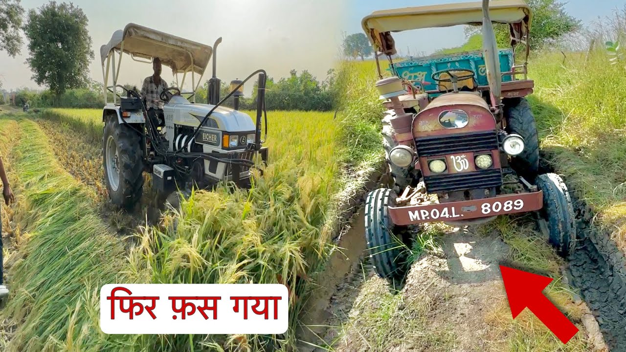 Day-3 | Rice Farming ये तो बिना कीचड़ के ही फस गया  Old Eicher Stuck in Mud | Eicher 485 with Reaper