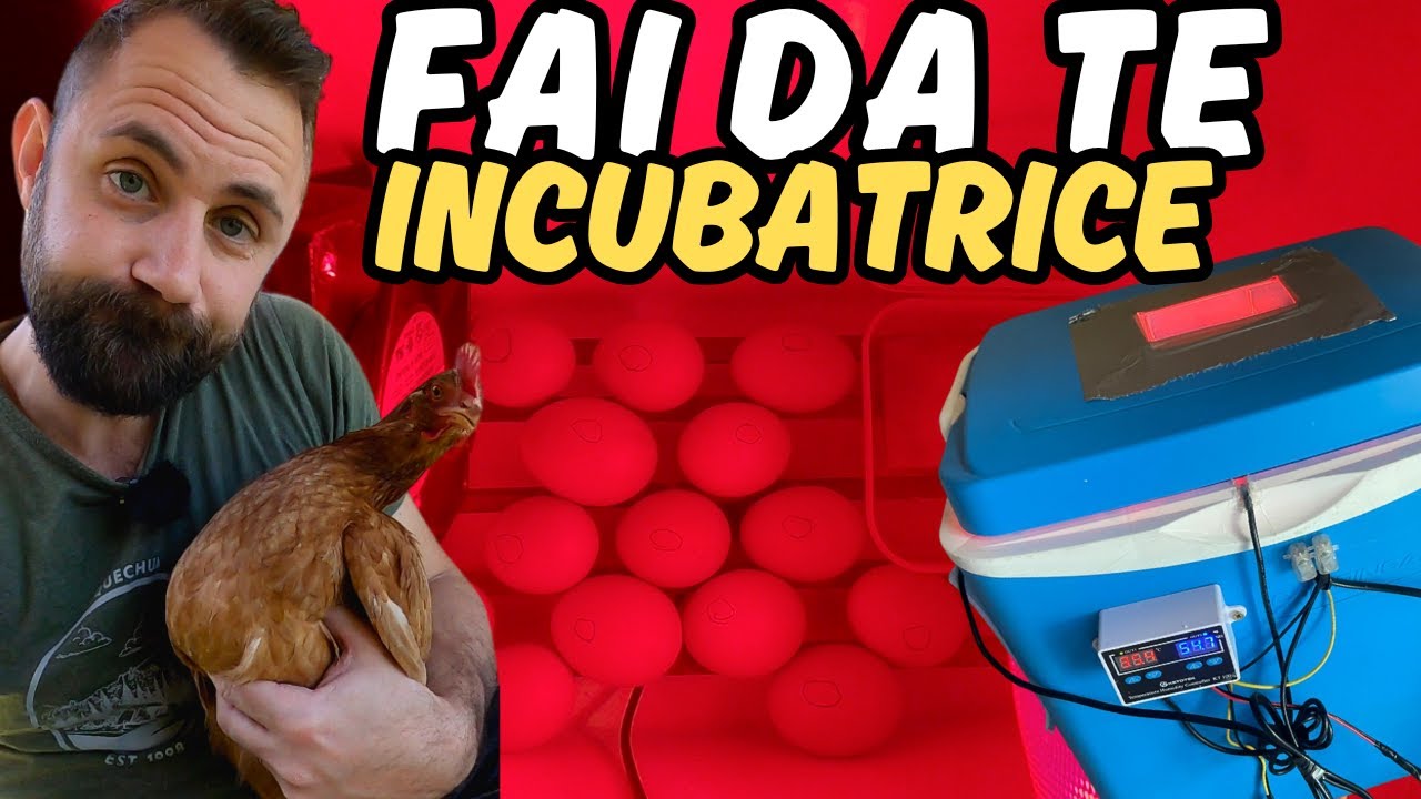 COSTRUISCO UN' INCUBATRICE CON POCHI EURO | Homemade Incubator