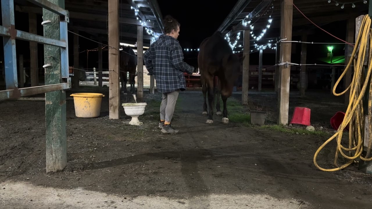 Picking up hooves for Ryan Rose Feb challenge 