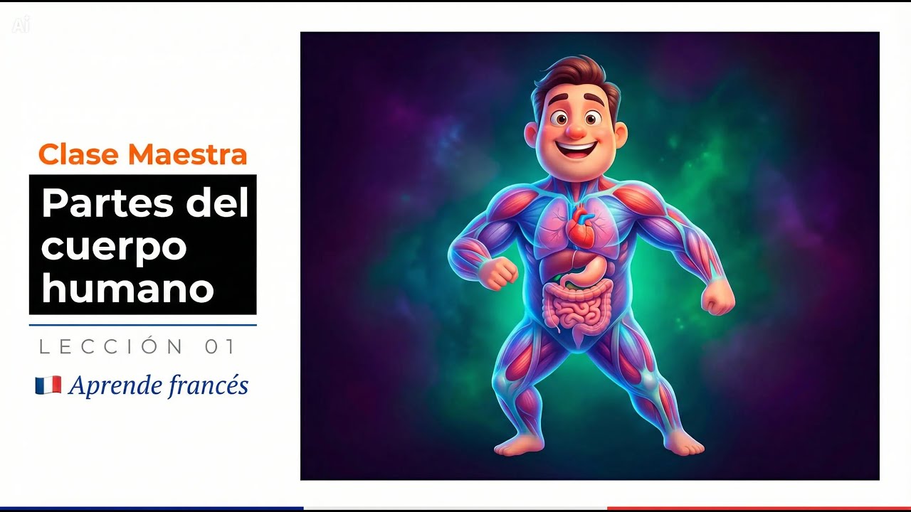 Lección 1: Partes del cuerpo humano - Aprende francés