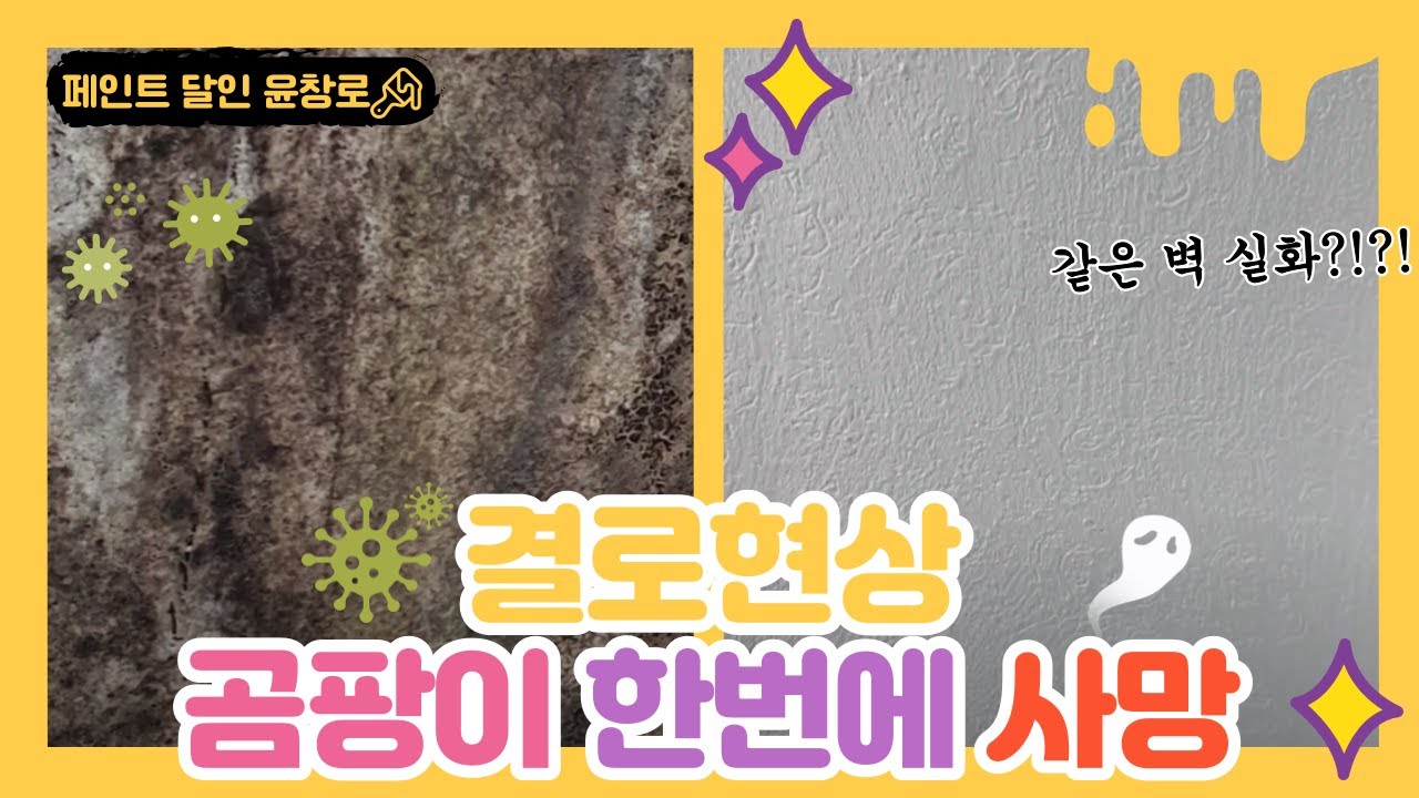 [생활의달인 페인트] 결로현상 곰팡이 한방에 사망 이제 우리집은 좋은환경