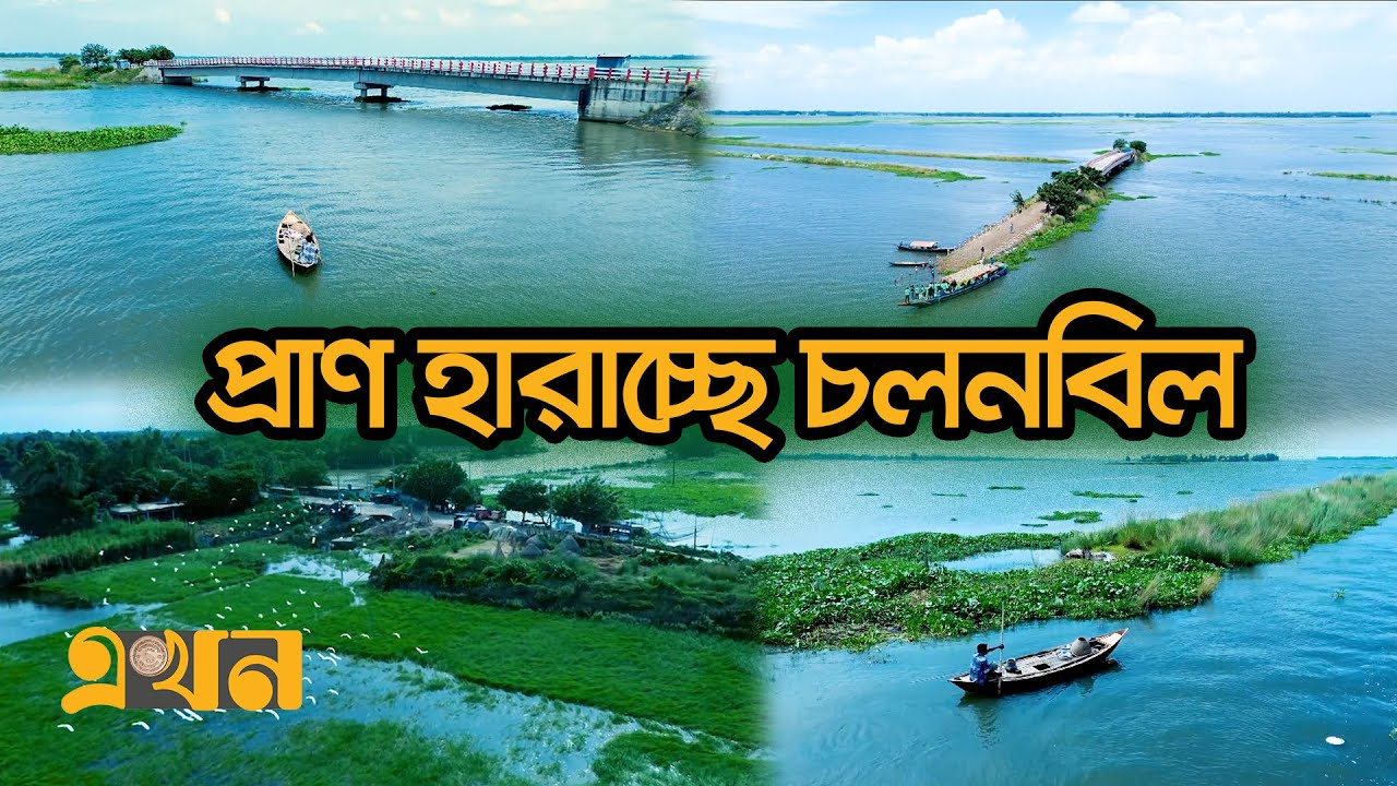 জীবিকার মাধ্যম এখন শামুক-ঝিনুক | Chalan Beel | Climate Change | Biodiversity | Sirajganj | Ekhon TV