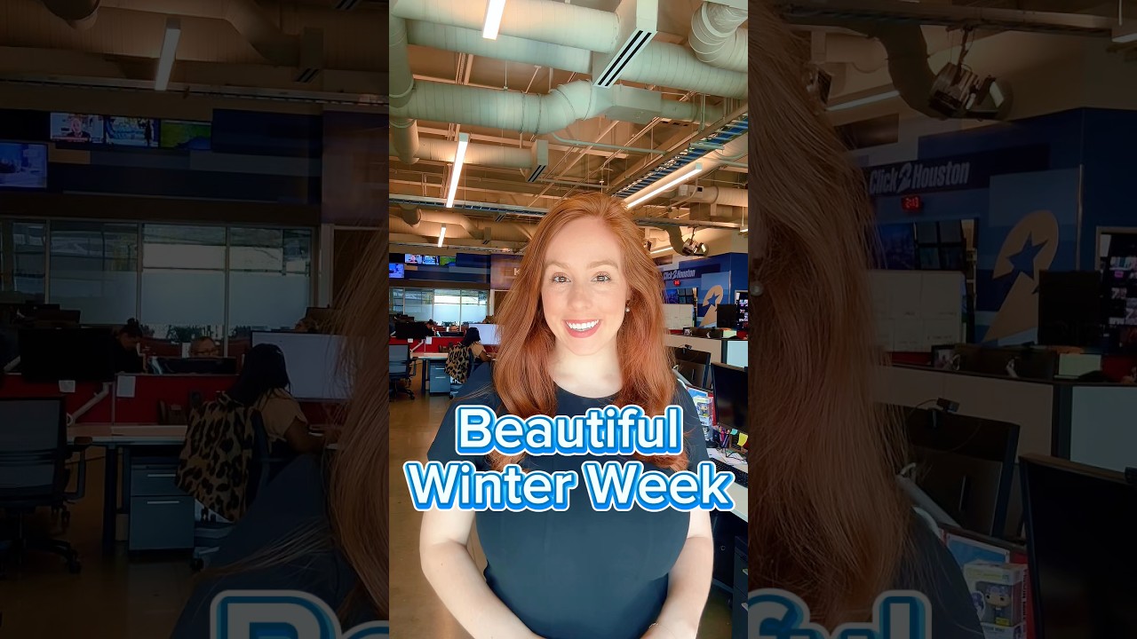 We finally have beautiful winter weather in Houston! 