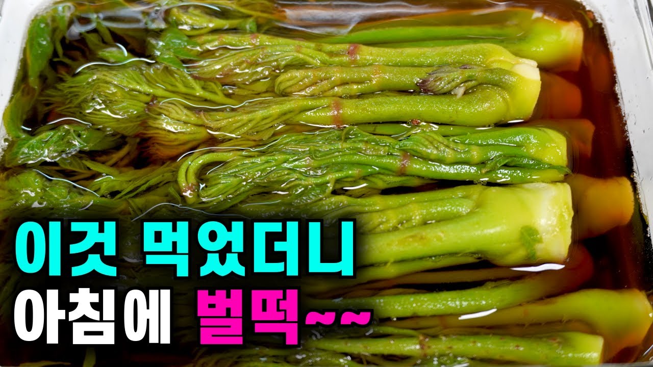💚두릅장아찌/ 끓이지 않는 만능 간장소스로 3분만에 뚝딱 /  1년 지나도 무르지 않고 아삭  / 끓이지 않아 쉽고  꿀맛보장