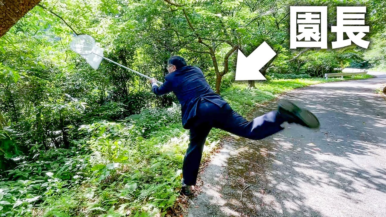 出張先でスーツを着ていても全力で虫取りをするうちの園長【沖縄】