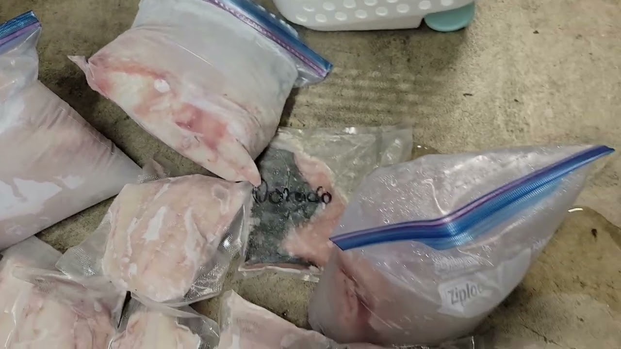 Stocked Up We Don't Eat Store Brought Fish Over Here Looking Like New Jack City 