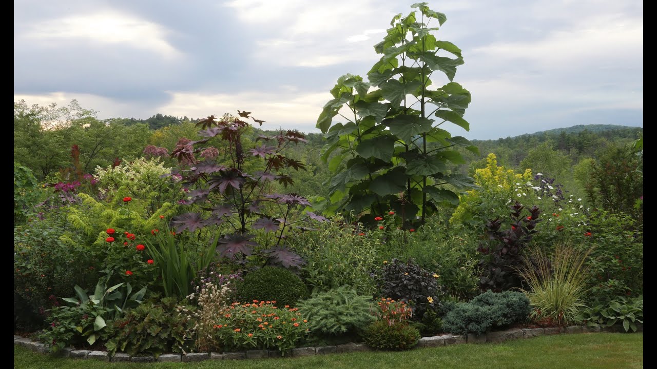 Rethinking a Mature Garden - Tour and Interview with the Designer