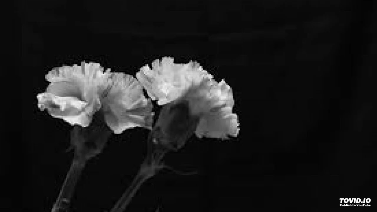beautiful (lies are nice to believe but the truth isn't)