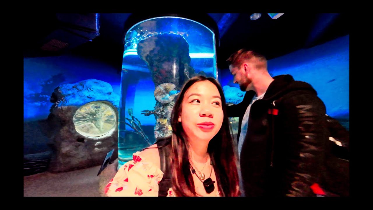 Sylt-Aquarium 🐠, Westerland 🇩🇪| 4K Walking Tour |