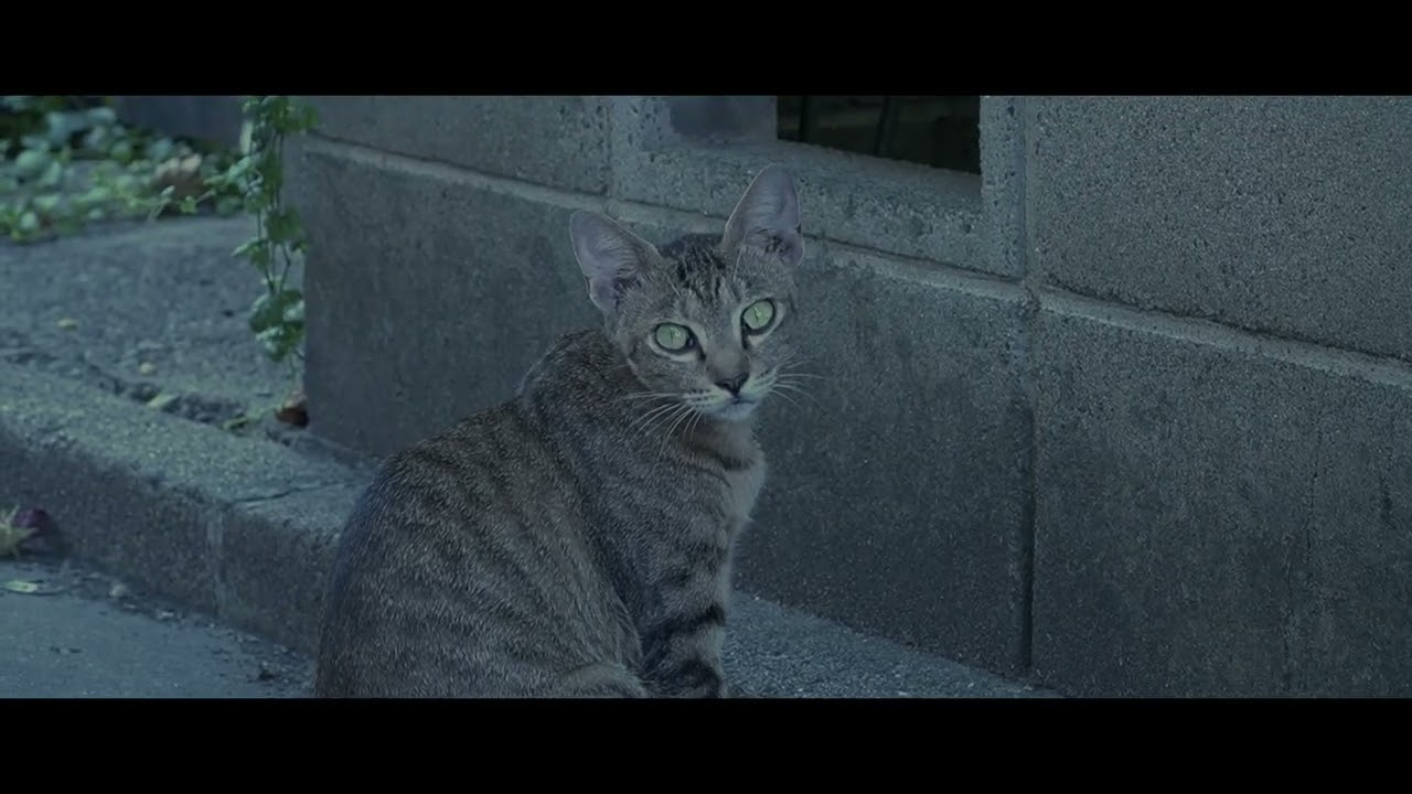 「 不穏美–FUONBI–」