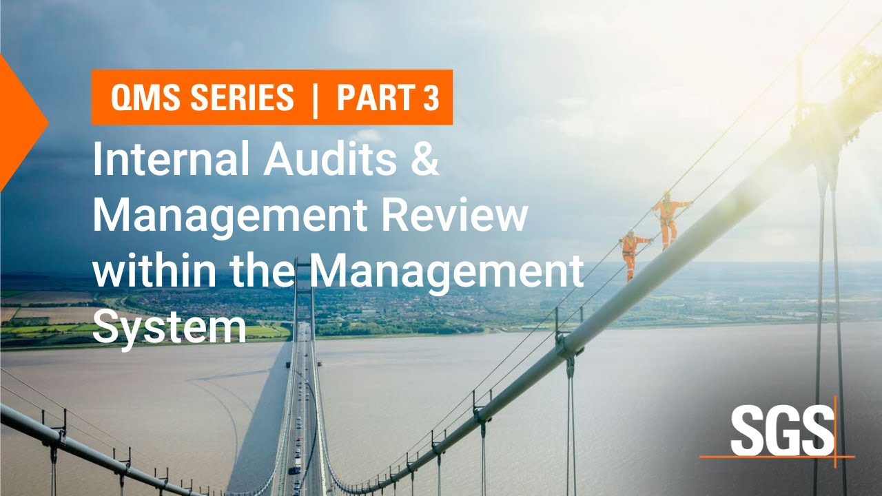 Internal Audits & Management Review within the Management System