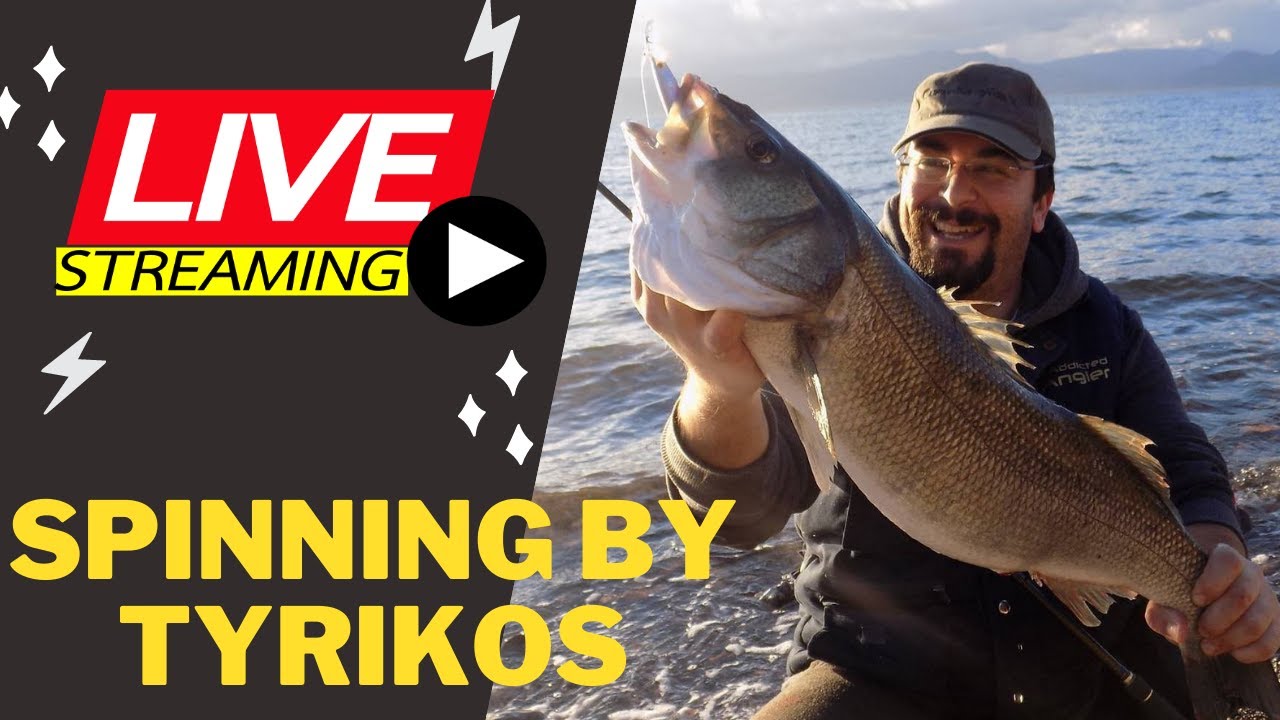 8-4 LIVE (Νο16) FISHING ART HELLAS  -  ΓΙΩΡΓΟΣ ΤΥΡΙΚΟΣ