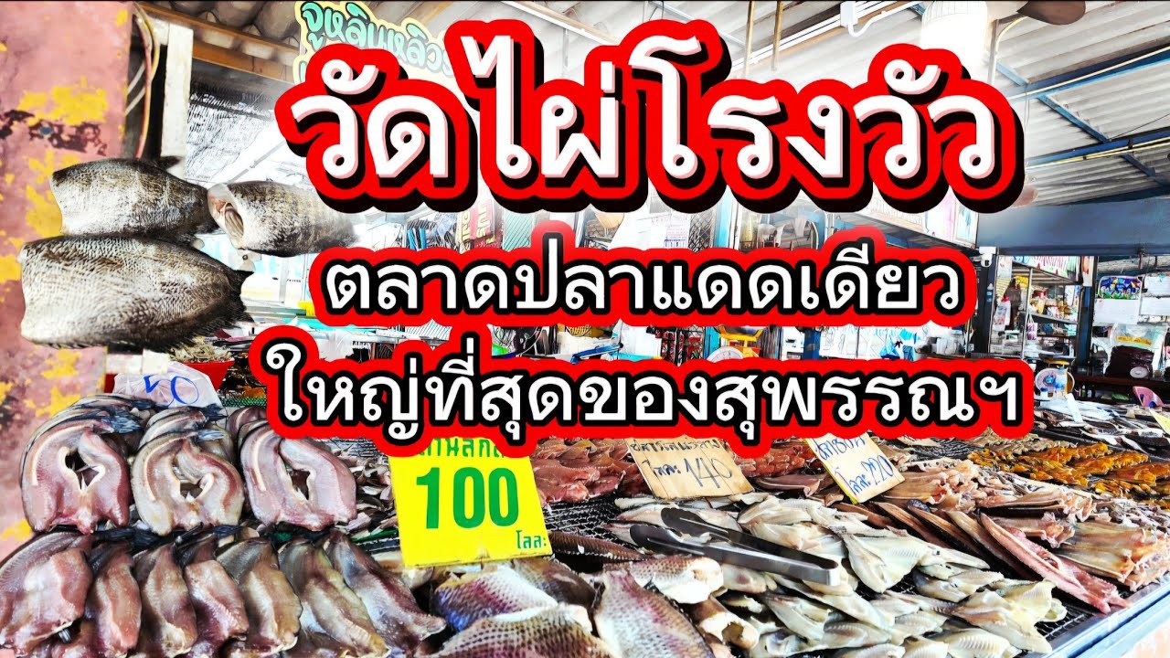 เที่ยววัดไผ่โรงวัว ตลาดปลาแดดเดียวเยอะที่สุดในสุพรรณบุรี /EP74