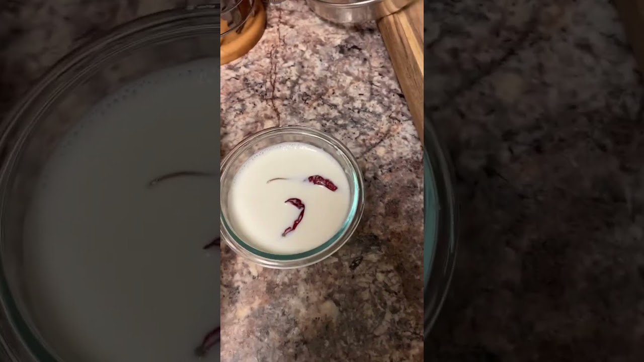 Home made yogurt with chilli starter