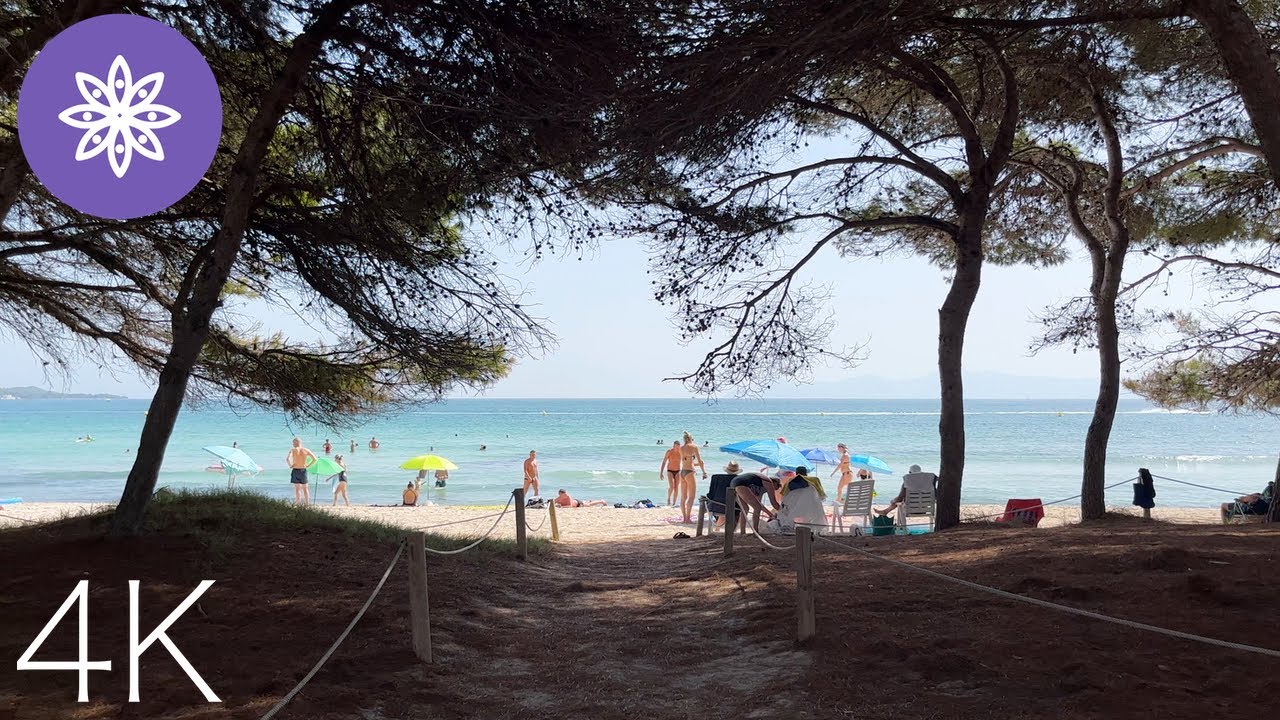 Walk in Alcudia Beach // Mallorca 4K