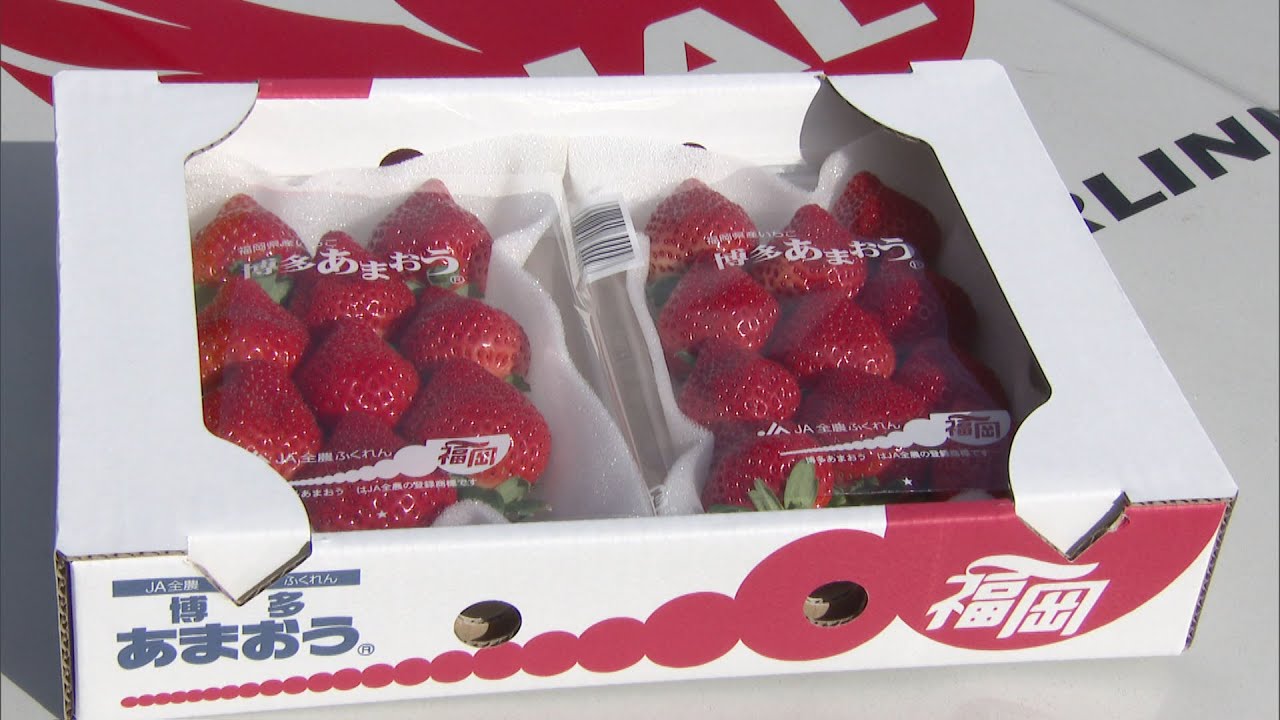 博多あまおうの空輸始まる　翌日首都圏の店頭で販売　来年5月までに全国に出荷する予定